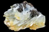 Blue, Bladed Barite Crystal Cluster - Morocco #103375-1